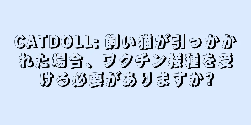 CATDOLL: 飼い猫が引っかかれた場合、ワクチン接種を受ける必要がありますか?