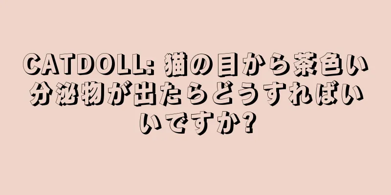 CATDOLL: 猫の目から茶色い分泌物が出たらどうすればいいですか?