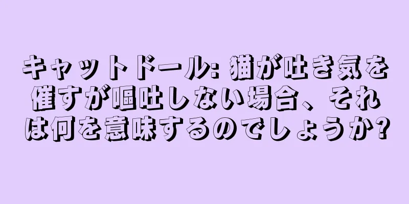 キャットドール: 猫が吐き気を催すが嘔吐しない場合、それは何を意味するのでしょうか?