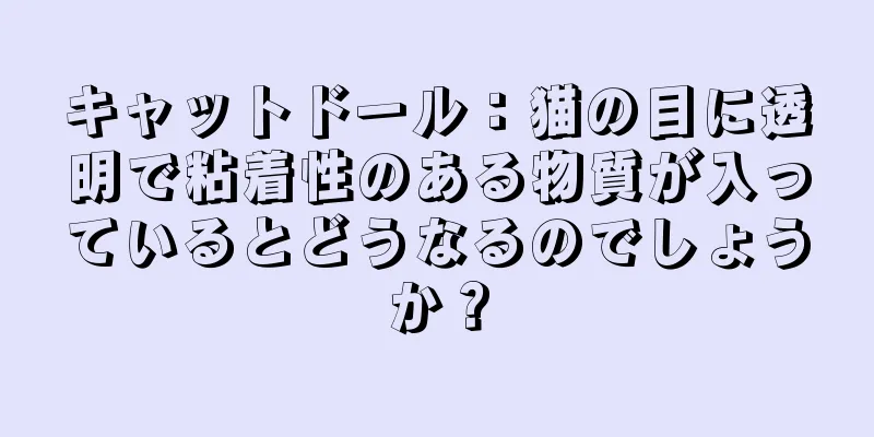 キャットドール：猫の目に透明で粘着性のある物質が入っているとどうなるのでしょうか？