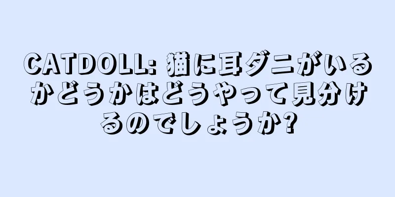 CATDOLL: 猫に耳ダニがいるかどうかはどうやって見分けるのでしょうか?