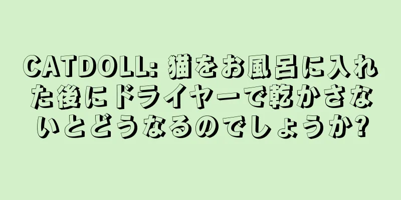 CATDOLL: 猫をお風呂に入れた後にドライヤーで乾かさないとどうなるのでしょうか?