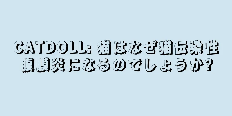 CATDOLL: 猫はなぜ猫伝染性腹膜炎になるのでしょうか?