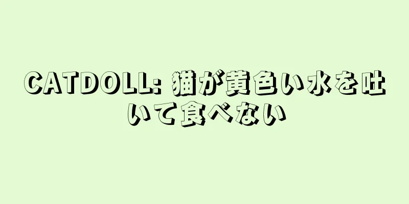CATDOLL: 猫が黄色い水を吐いて食べない