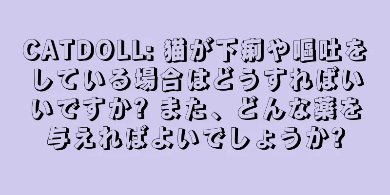 CATDOLL: 猫が下痢や嘔吐をしている場合はどうすればいいですか? また、どんな薬を与えればよいでしょうか?