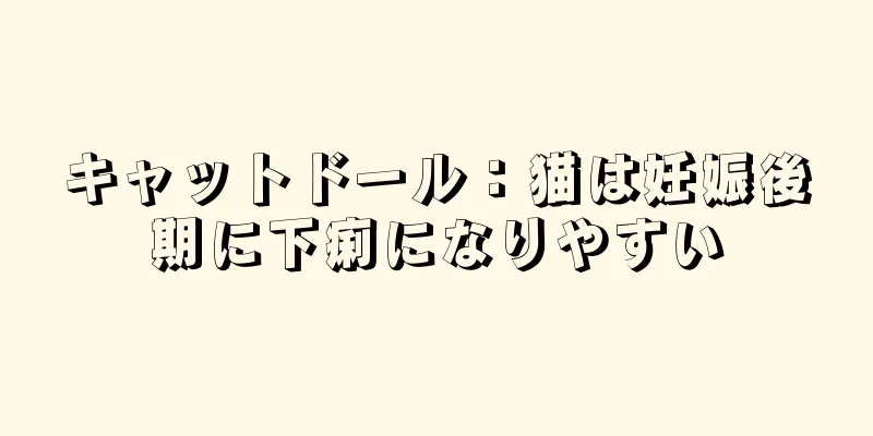 キャットドール：猫は妊娠後期に下痢になりやすい
