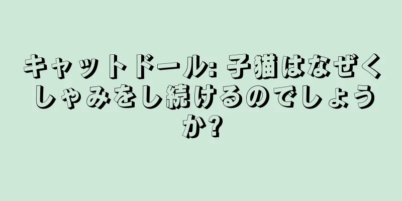 キャットドール: 子猫はなぜくしゃみをし続けるのでしょうか?