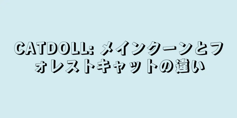 CATDOLL: メインクーンとフォレストキャットの違い