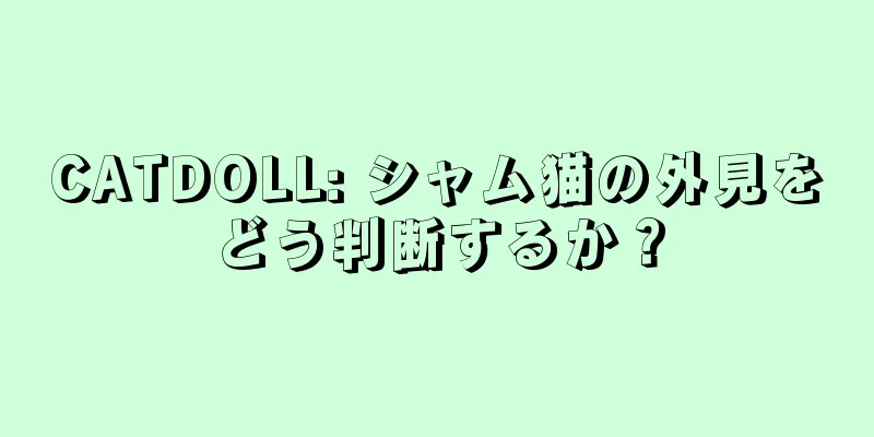 CATDOLL: シャム猫の外見をどう判断するか？