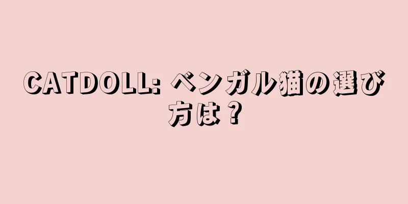 CATDOLL: ベンガル猫の選び方は？