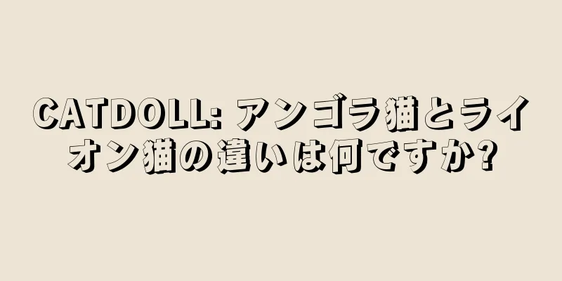 CATDOLL: アンゴラ猫とライオン猫の違いは何ですか?