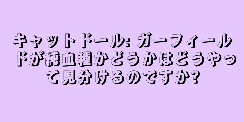 キャットドール: ガーフィールドが純血種かどうかはどうやって見分けるのですか?