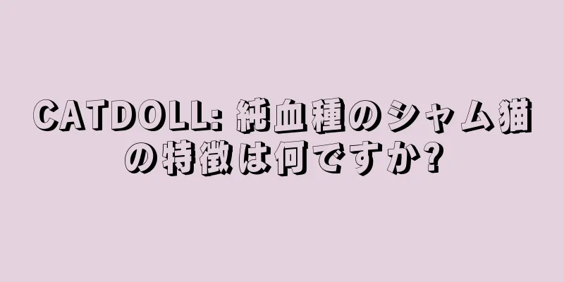 CATDOLL: 純血種のシャム猫の特徴は何ですか?