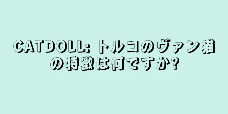 CATDOLL: トルコのヴァン猫の特徴は何ですか?