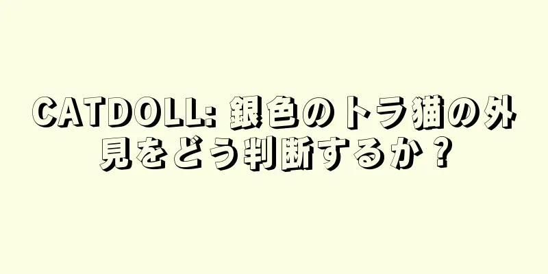 CATDOLL: 銀色のトラ猫の外見をどう判断するか？