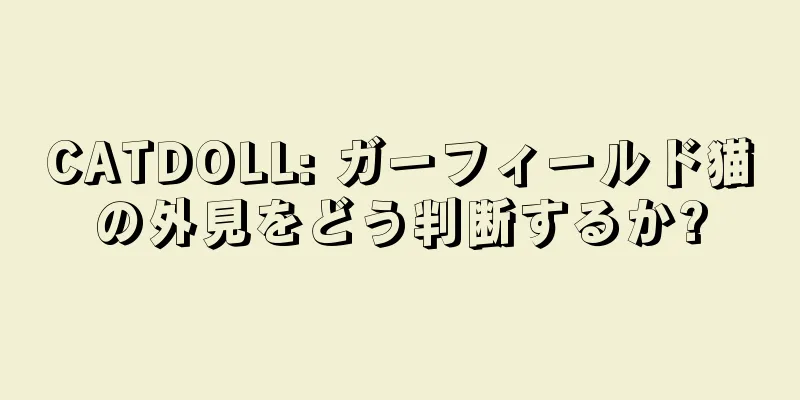 CATDOLL: ガーフィールド猫の外見をどう判断するか?