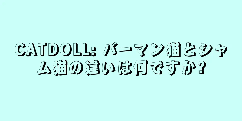 CATDOLL: バーマン猫とシャム猫の違いは何ですか?