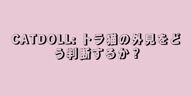CATDOLL: トラ猫の外見をどう判断するか？