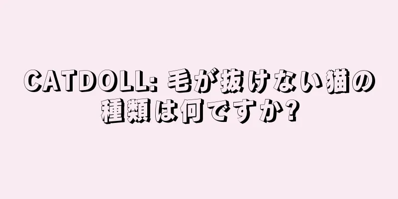 CATDOLL: 毛が抜けない猫の種類は何ですか?