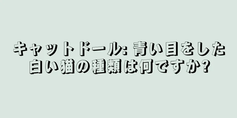 キャットドール: 青い目をした白い猫の種類は何ですか?