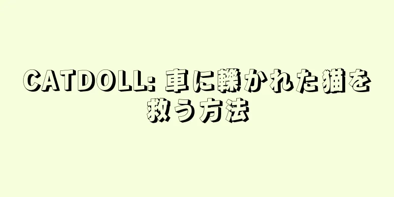 CATDOLL: 車に轢かれた猫を救う方法