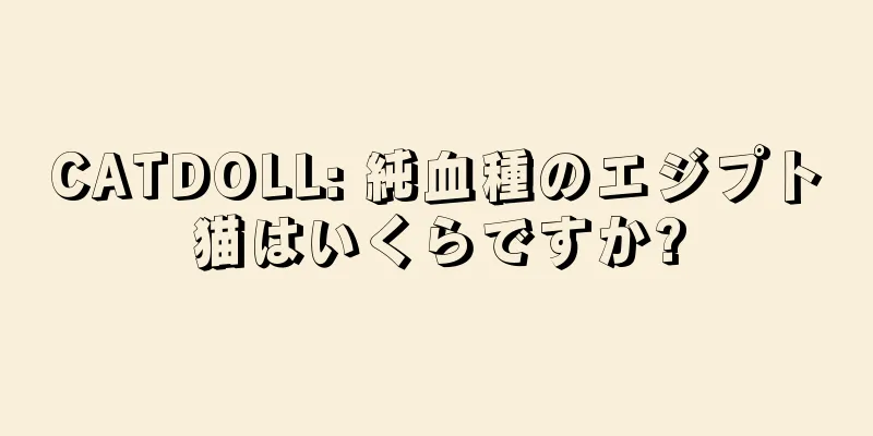 CATDOLL: 純血種のエジプト猫はいくらですか?