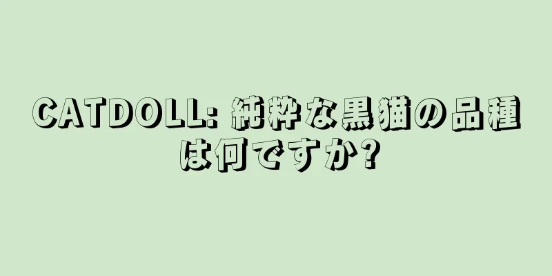 CATDOLL: 純粋な黒猫の品種は何ですか?