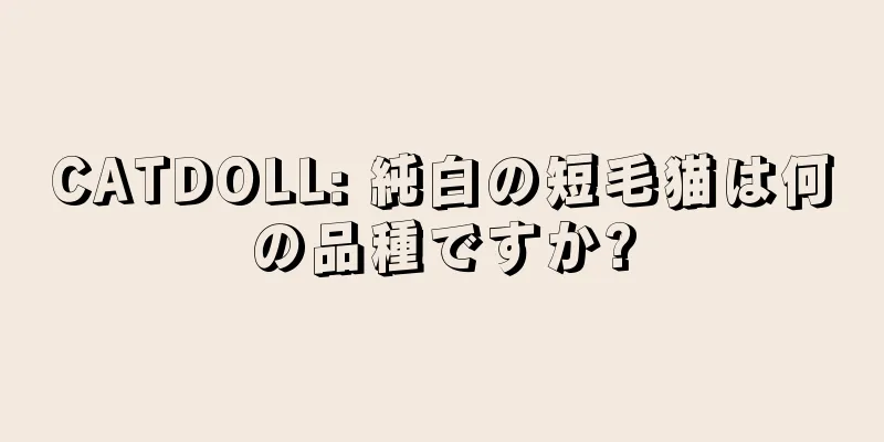 CATDOLL: 純白の短毛猫は何の品種ですか?