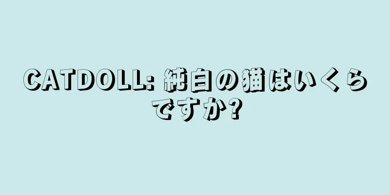 CATDOLL: 純白の猫はいくらですか?