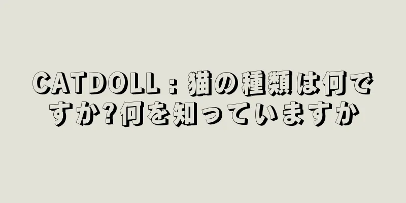 CATDOLL : 猫の種類は何ですか?何を知っていますか