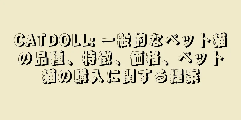 CATDOLL: 一般的なペット猫の品種、特徴、価格、ペット猫の購入に関する提案