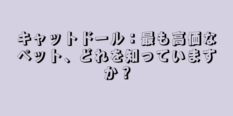 キャットドール：最も高価なペット、どれを知っていますか？