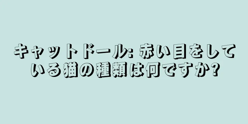 キャットドール: 赤い目をしている猫の種類は何ですか?