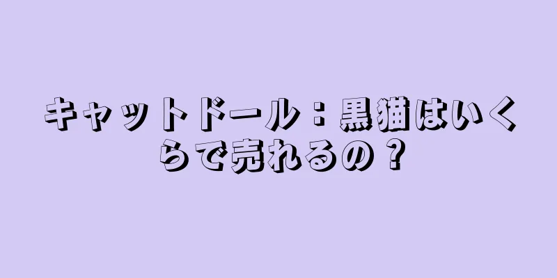 キャットドール：黒猫はいくらで売れるの？