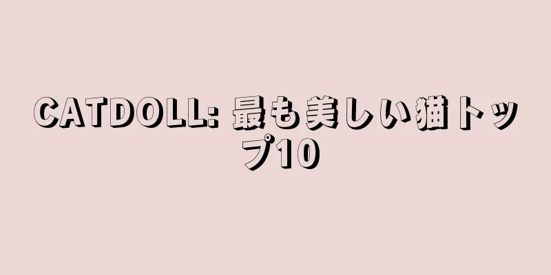 CATDOLL: 最も美しい猫トップ10