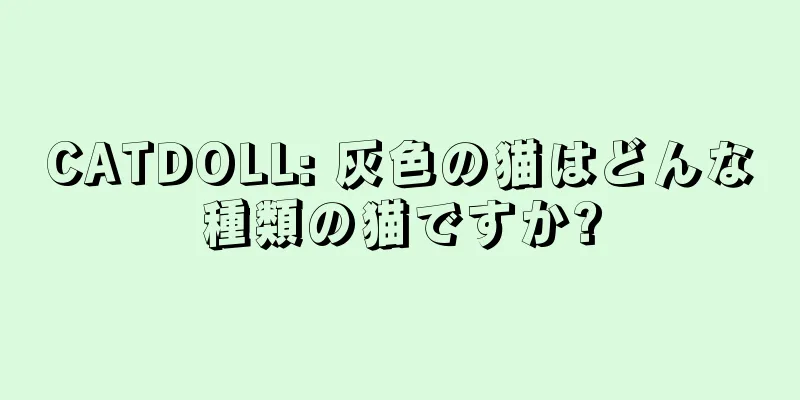 CATDOLL: 灰色の猫はどんな種類の猫ですか?