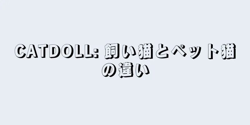 CATDOLL: 飼い猫とペット猫の違い