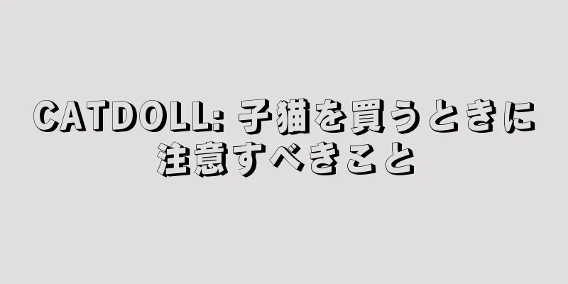 CATDOLL: 子猫を買うときに注意すべきこと