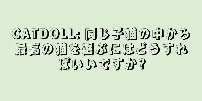 CATDOLL: 同じ子猫の中から最高の猫を選ぶにはどうすればいいですか?