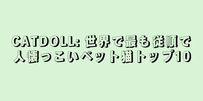 CATDOLL: 世界で最も従順で人懐っこいペット猫トップ10