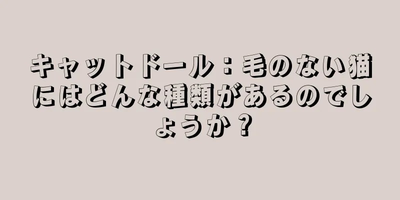 キャットドール：毛のない猫にはどんな種類があるのでしょうか？