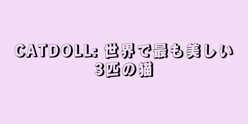 CATDOLL: 世界で最も美しい3匹の猫