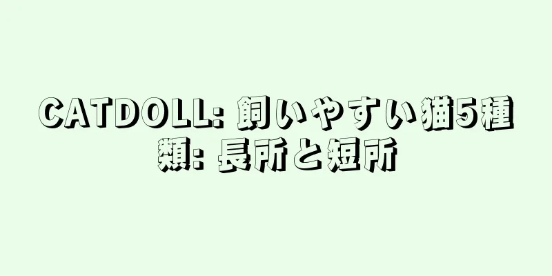 CATDOLL: 飼いやすい猫5種類: 長所と短所