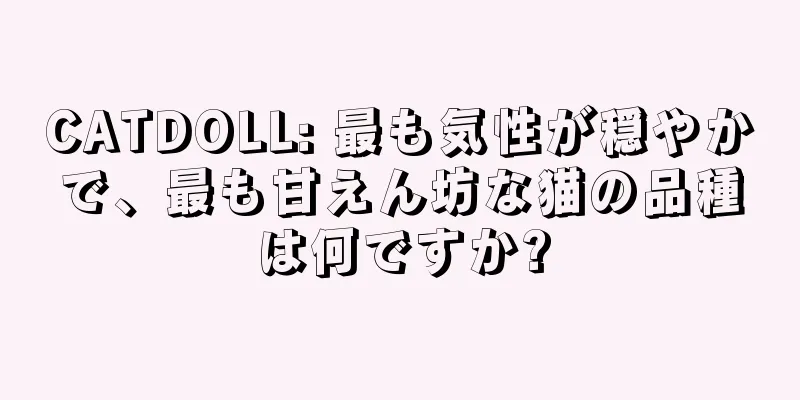 CATDOLL: 最も気性が穏やかで、最も甘えん坊な猫の品種は何ですか?