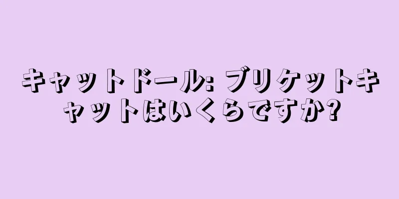 キャットドール: ブリケットキャットはいくらですか?