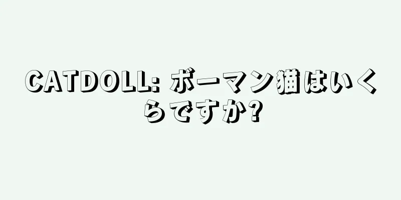 CATDOLL: ボーマン猫はいくらですか?