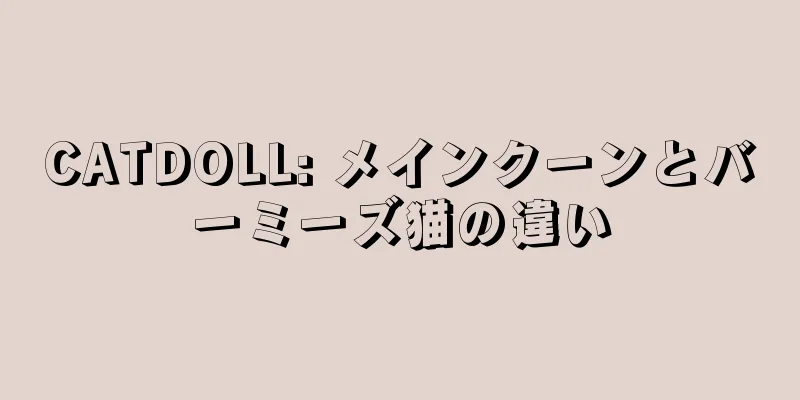 CATDOLL: メインクーンとバーミーズ猫の違い