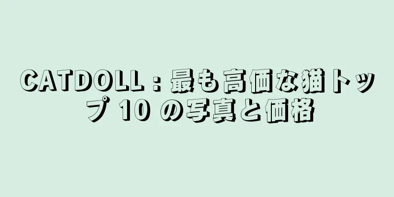 CATDOLL : 最も高価な猫トップ 10 の写真と価格