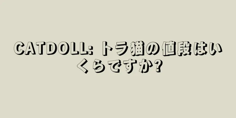 CATDOLL: トラ猫の値段はいくらですか?