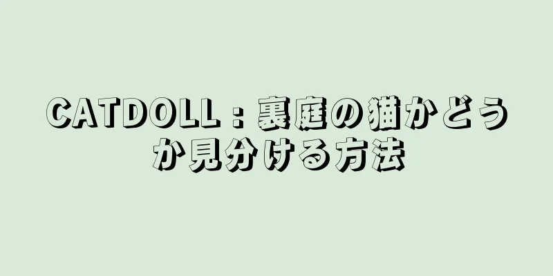 CATDOLL : 裏庭の猫かどうか見分ける方法